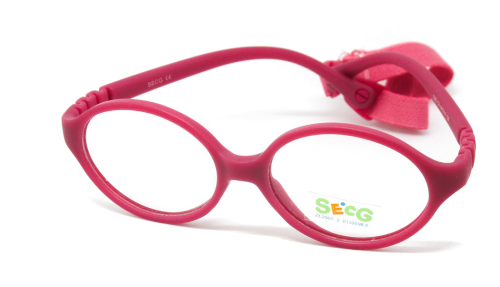 Secg 1202 Secg 1202