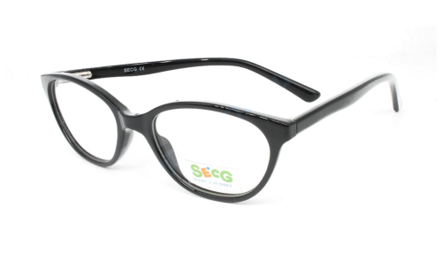 Secg 1002 Secg 1002