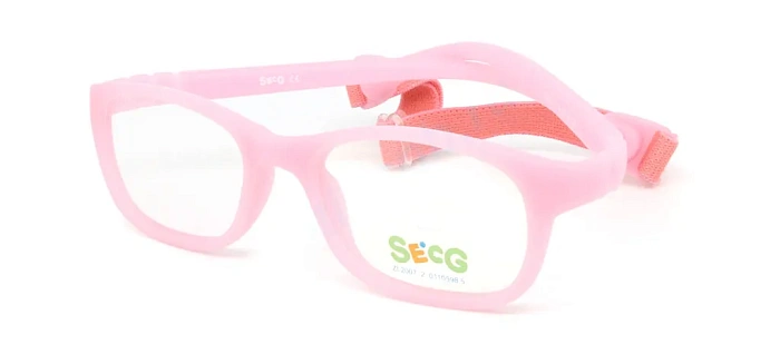 Secg 1203
