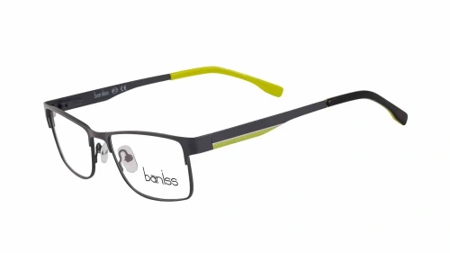 Baniss BR6037 фото 3