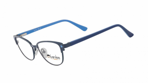 Baniss BRJ2135 фото 2