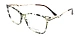 Traveler 6015