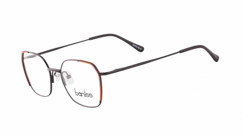 Baniss BR7021 Baniss BR7021