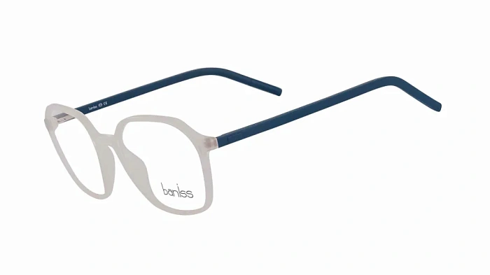 Baniss BS9019