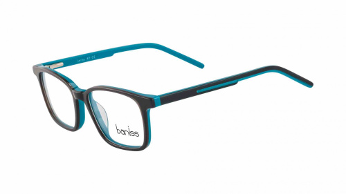 Baniss BSJ6073 Baniss BSJ6073