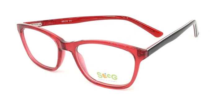 Secg 1003