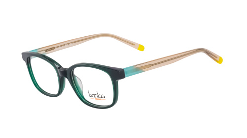 Baniss BSJ5080 фото 2 Baniss BSJ5080 фото 2