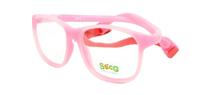 Secg 1303
