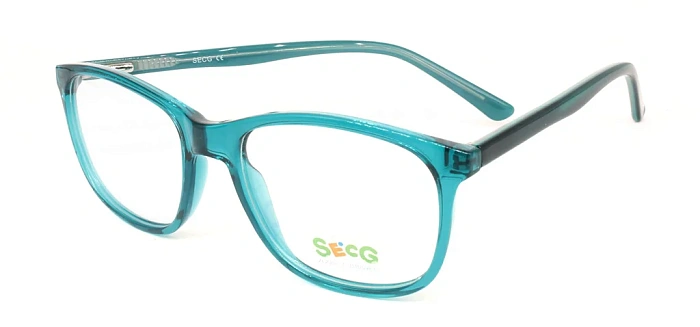 Secg 1006