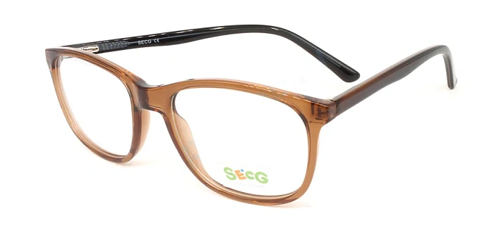 Secg 1006