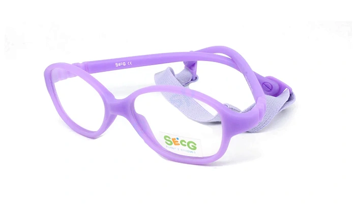 Secg 1251