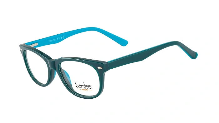 Baniss BSJ6060