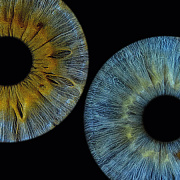 Фото радужки в подарок