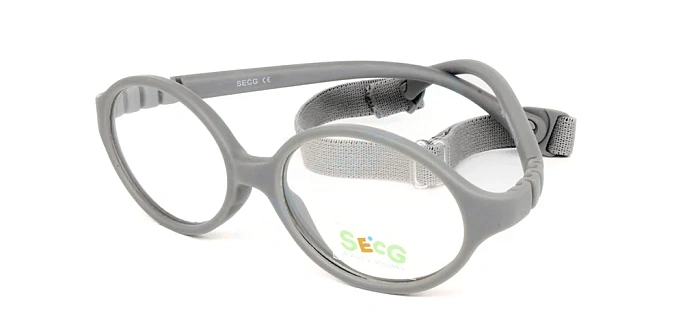 Secg 1202