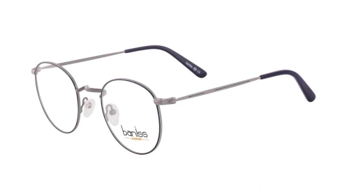 Baniss BR5053 фото 2