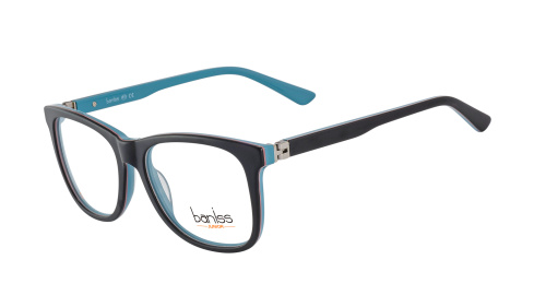 Baniss BSJ6058 фото 3