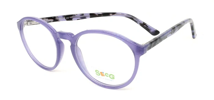 Secg 1005