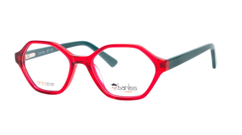 Baniss BSJ6838 фото 2 Baniss BSJ6838 фото 2