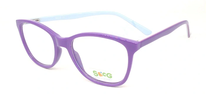 Secg 1004