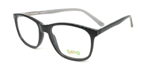 Secg 1006