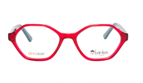 Baniss BSJ6838 фото 3 Baniss BSJ6838 фото 3