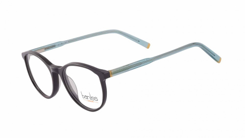 Baniss BSJ6831 Baniss BSJ6831