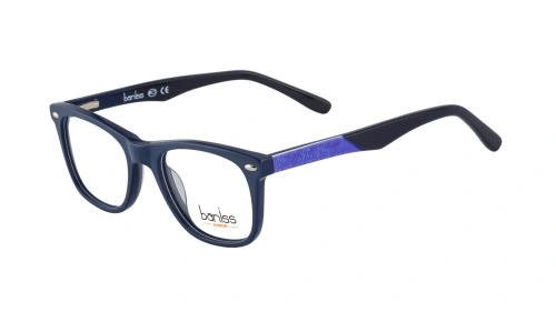 Baniss BSJ6048 фото 2