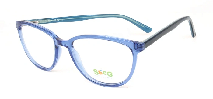 Secg 1007