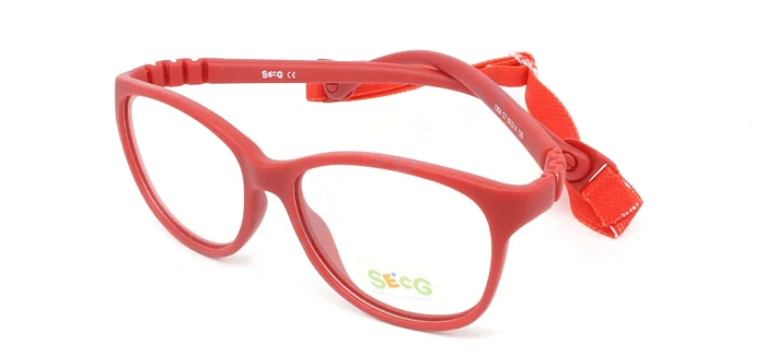 Secg 1304
