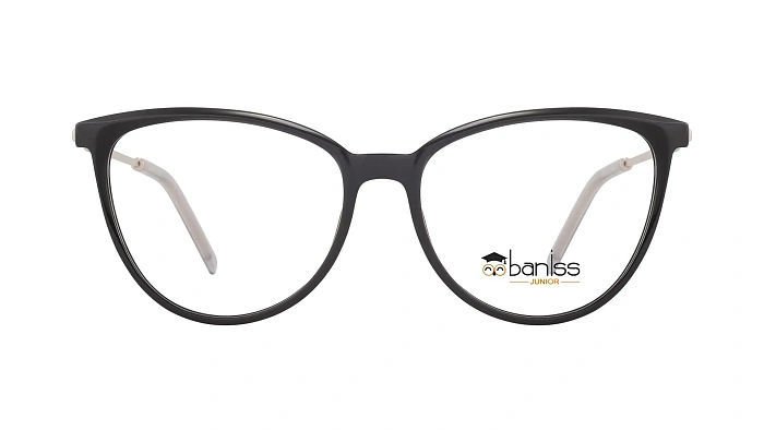 Baniss BS7090