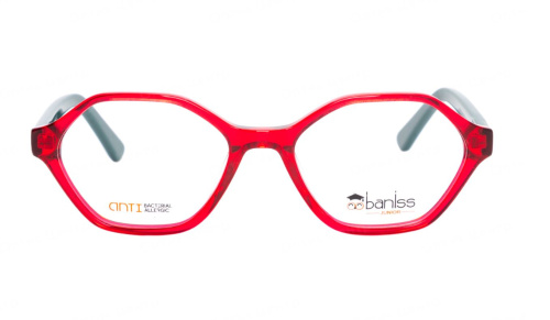 Baniss BSJ6838 фото 3 Baniss BSJ6838 фото 3