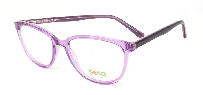 Secg 1007