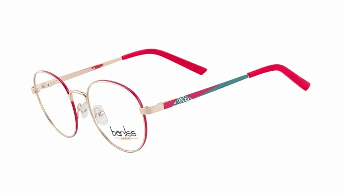 Baniss BRJ4017