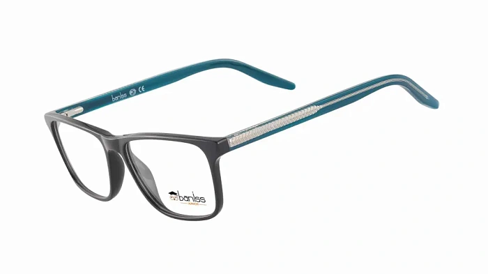 Baniss BS8064