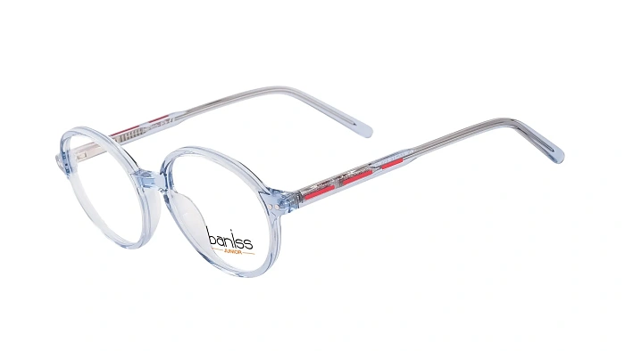Baniss BSJ6828