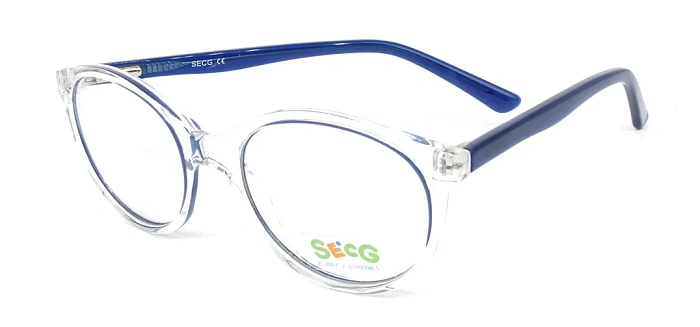 Secg 1001