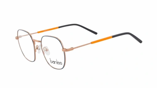 Baniss BRJ4018 фото 2