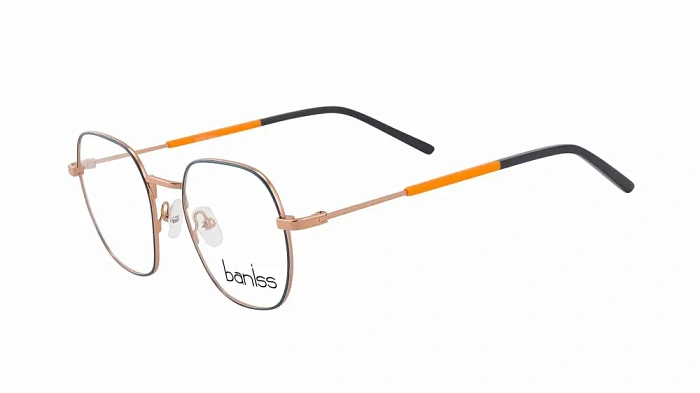 Baniss BRJ4018