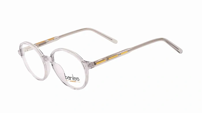 Baniss BSJ6828