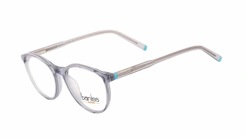 Baniss BSJ6831 фото 3