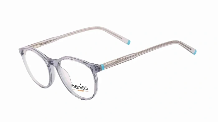 Baniss BSJ6831