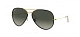 Ray-Ban 0RB3025